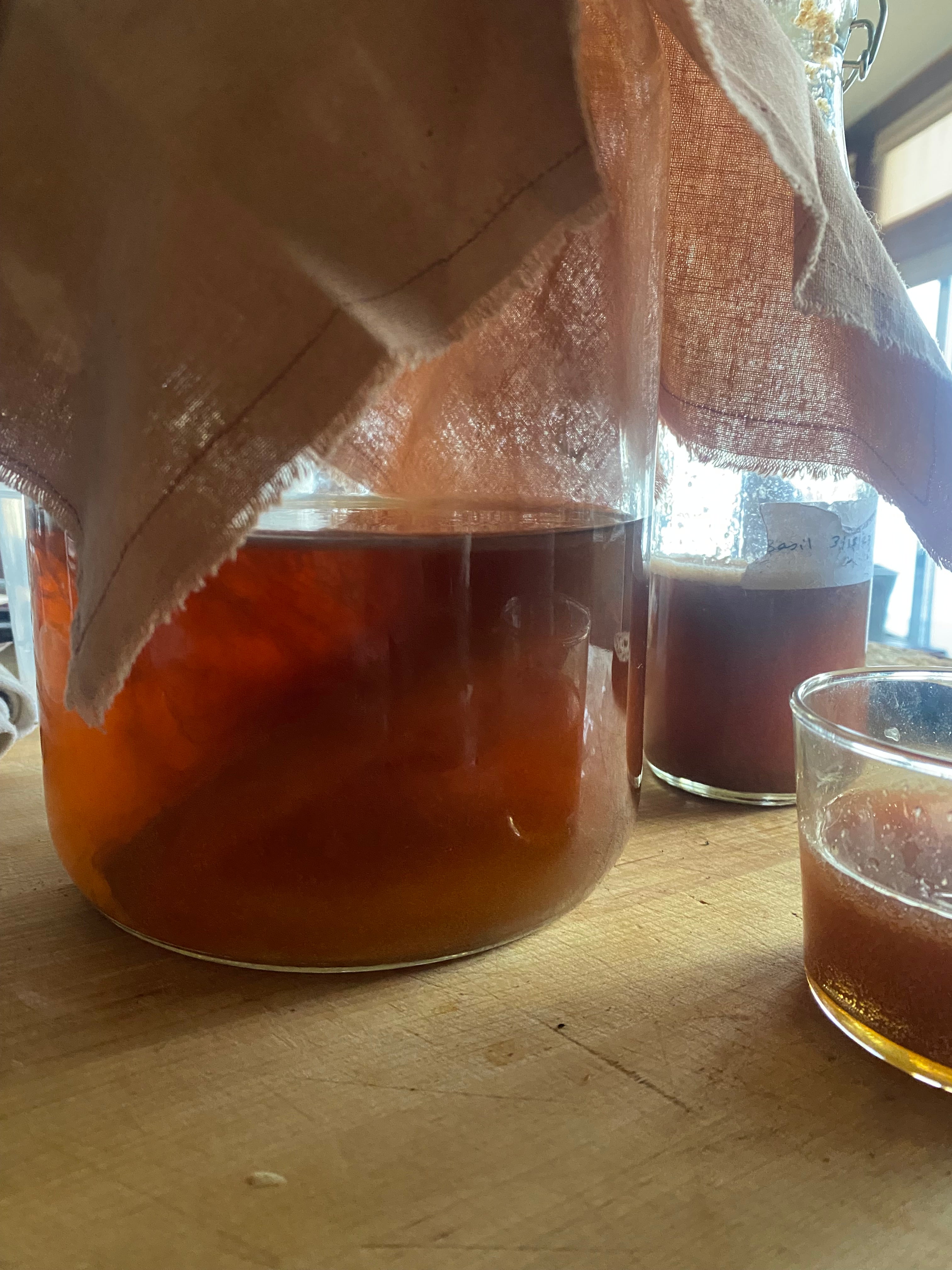 Strawberry + Basil Kombucha